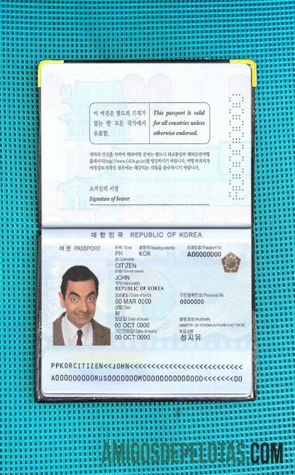 Foto do passaporte da Coreia do Sul exemplo real